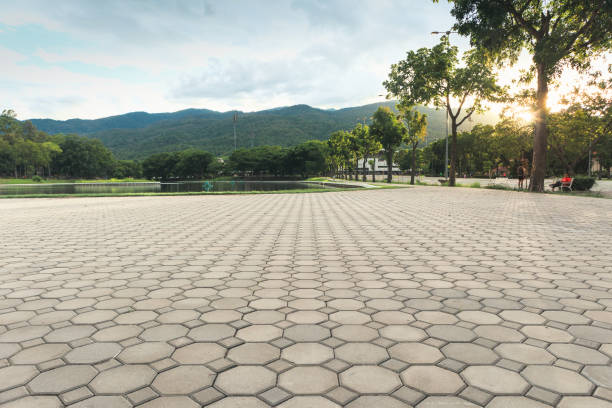 Professional Driveway Pavers in Chula Vista, CA